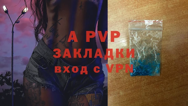 a pvp Бородино